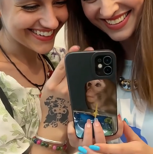 Funny Monkey - All-Inclusive Capri Length Phone Case, Compatible with iPhone